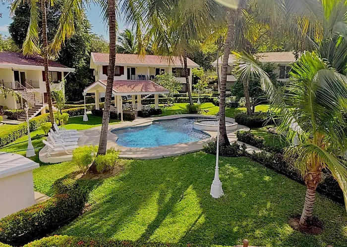 Oasis Tropical